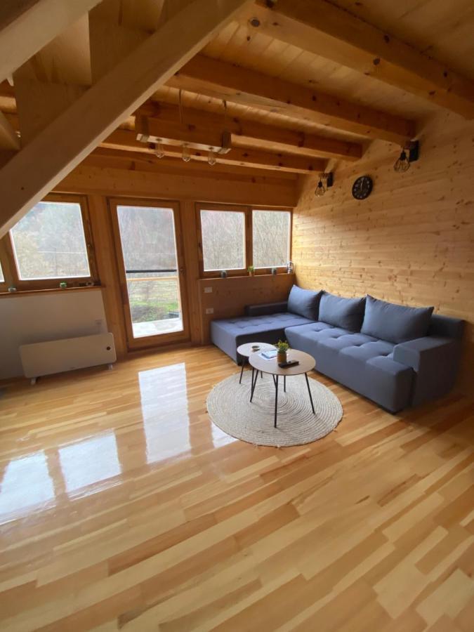 Apartman Lenka 모크라 고라 외부 사진